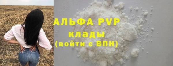 стаф Аркадак