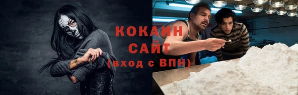 стаф Аркадак