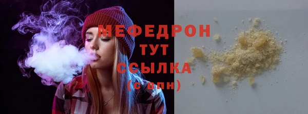 стаф Аркадак