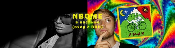 стаф Аркадак