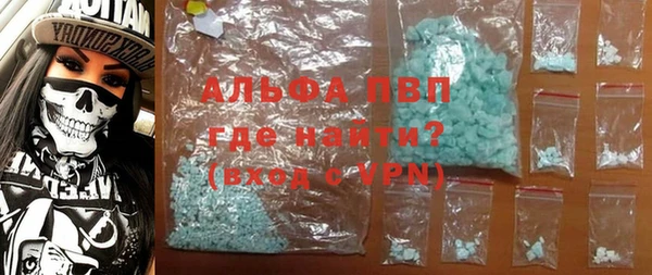 стаф Аркадак