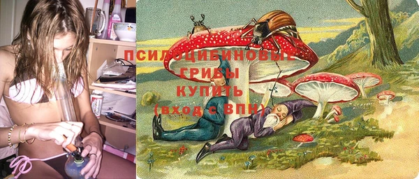 спиды Армянск